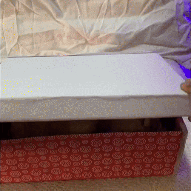 Crayova™ The Soulful Capybara