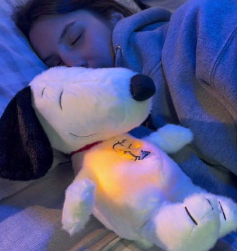 <strong>Sarah T.</strong>